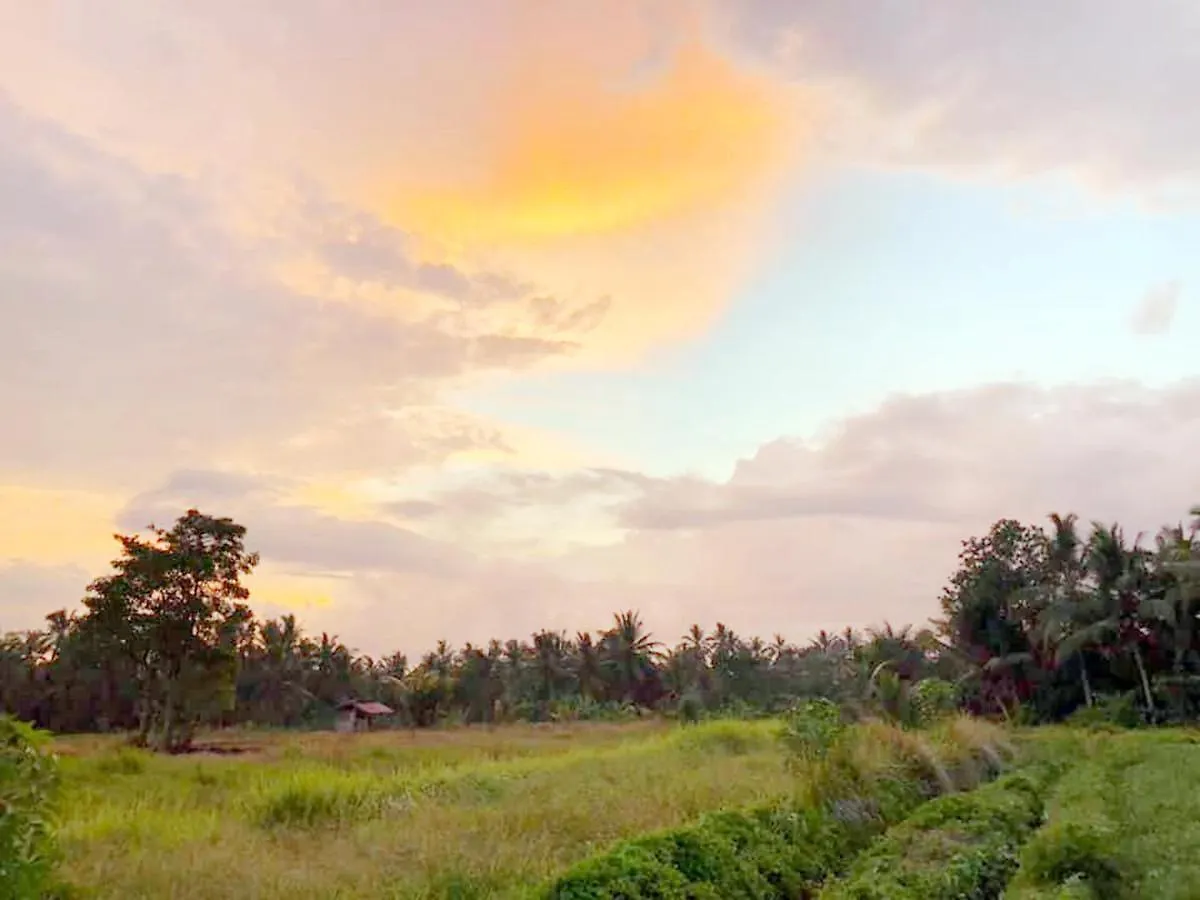 Shivananda Antique Villas By Eps Ubud