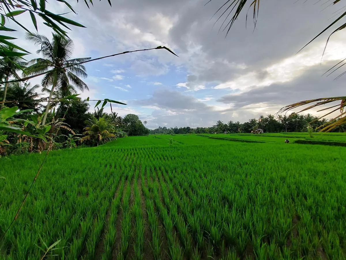 Shivananda Antique Villas By Eps Ubud   Ubud (Bali)